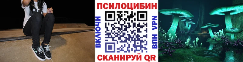 Псилоцибиновые грибы MAGIC MUSHROOMS  Камышлов 